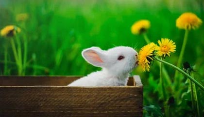 爱游戏线上-世界田径挑战赛中，王春雨勇夺女子800米金牌，世界田径挑战赛中,王春雨勇夺女子800米金牌的是谁