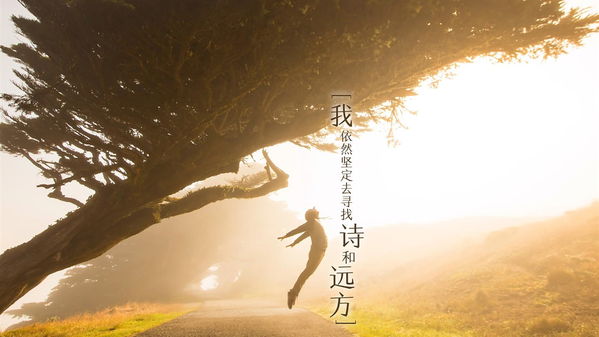 主教练更替频率是否削弱长期战术打磨空间，主教练可以替补上场吗
