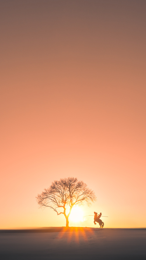 数字化体育资源共享平台建设与管理,数字体育平台是什么