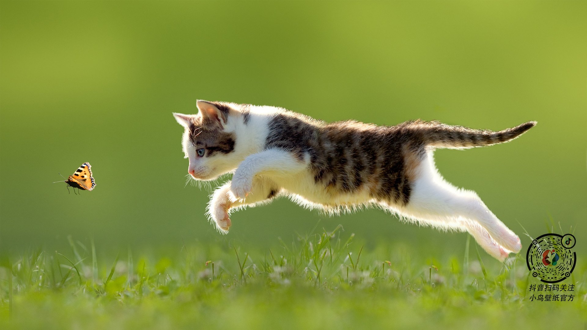 篮球运动员比赛数据统计分析系统研究,篮球比赛球员数据统计表