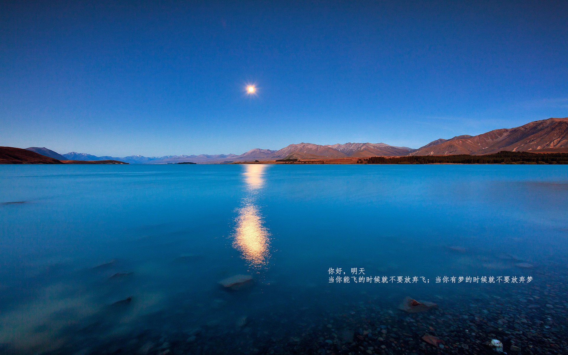 青少年体育培训体系升级方案,青少年体育培训项目计划书