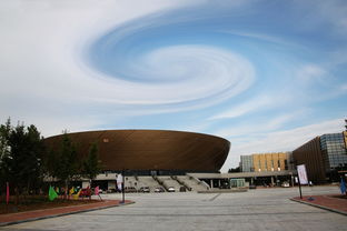 爱游戏平台体验-高校体育场馆智能运营系统设计研究，高校体育场馆现状